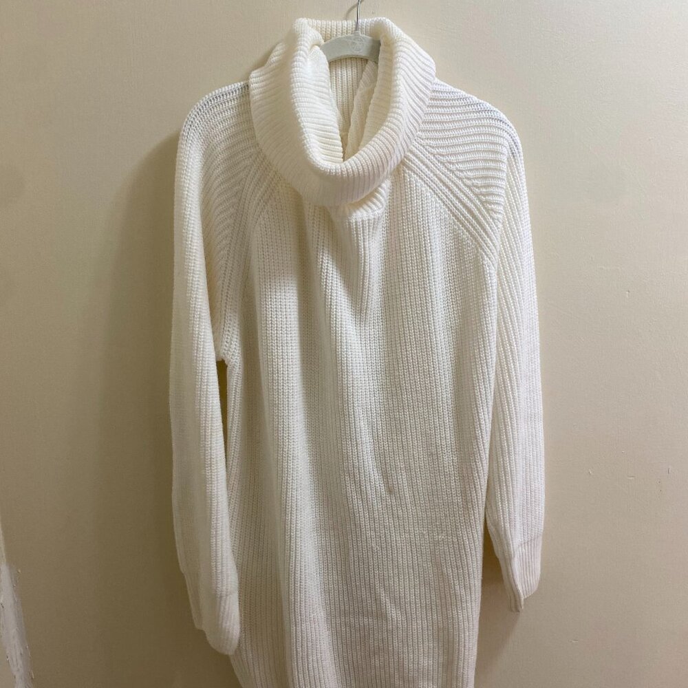 Turtle Neck Sweater Dress